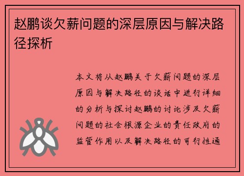 赵鹏谈欠薪问题的深层原因与解决路径探析