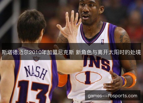 斯塔德迈尔2010年加盟尼克斯 新角色与离开太阳时的处境